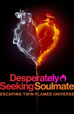 Desperately Seeking Soulmate: Escaping Twin Flames Universe