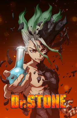 Dr. Stone