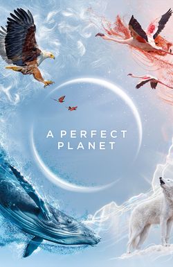 A Perfect Planet