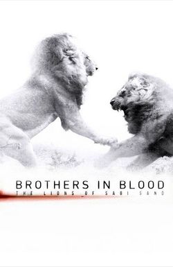 Brothers in Blood: The Lions of Sabi Sand