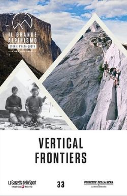 Vertical Frontier