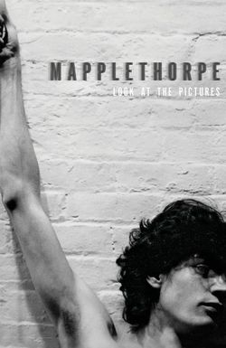 Mapplethorpe: Look at the Pictures