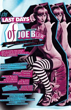 The Last Days of Joe Blow