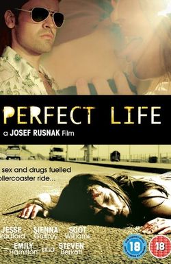 Perfect Life