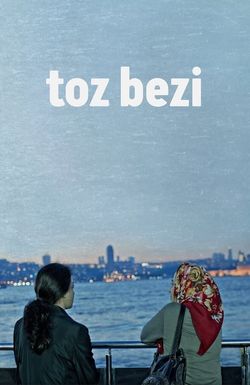 Toz Bezi