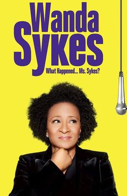 Wanda Sykes: What Happened... Ms. Sykes?