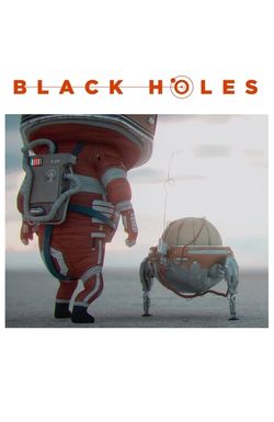 Black Holes