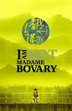 I Am Not Madame Bovary