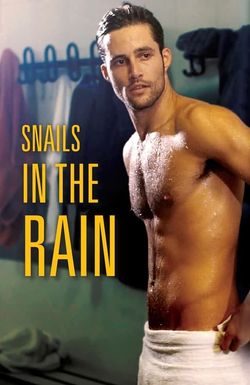 Snails in the Rain