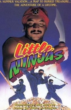 Little Ninjas