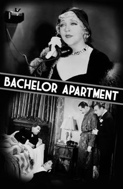 Bachelor Apartment