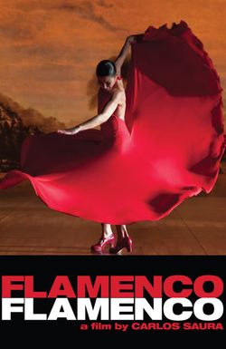 Flamenco Flamenco