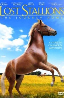 Lost Stallions: The Journey Home