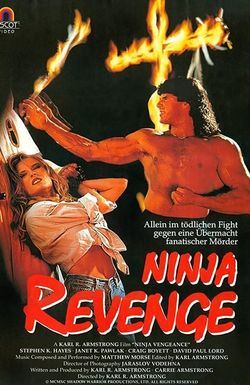 Ninja Vengeance