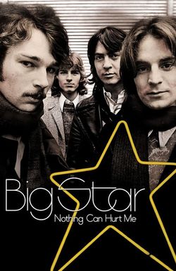 Big Star: Nothing Can Hurt Me