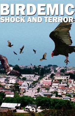 Birdemic: Shock and Terror