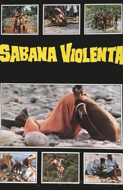 Savana violenta