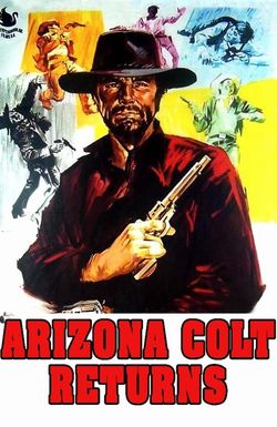 Arizona Colt, Hired Gun