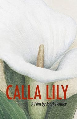 Calla Lily