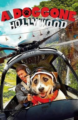 A Doggone Hollywood