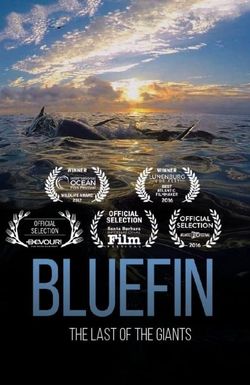 Bluefin