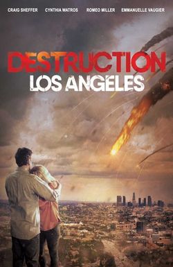 Destruction Los Angeles