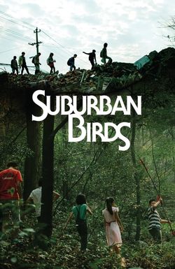 Suburban Birds