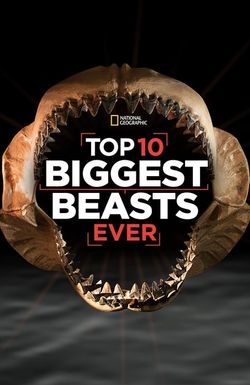 Top 10 Biggest Beasts Ever