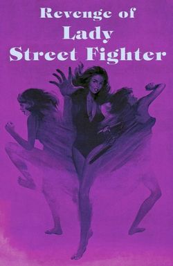 Revenge of Lady Street Fighter