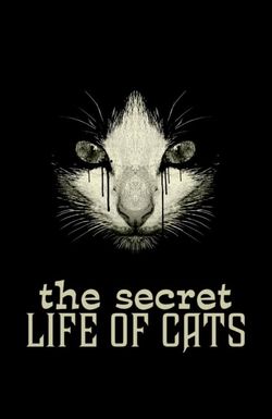 The Secret Life of Cats