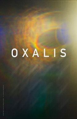 Oxalis