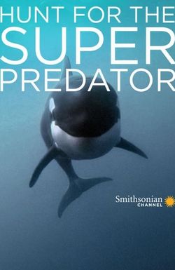 The Search for the Ocean's Super Predator