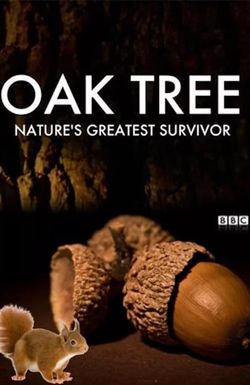 Oak Tree: Nature's Greatest Survivor