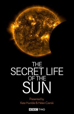 The Secret Life of the Sun