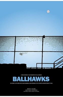 Ballhawks