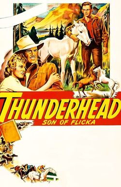 Thunderhead: Son of Flicka