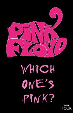 The Pink Floyd Story: Which One's Pink?