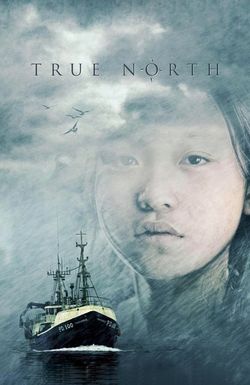 True North