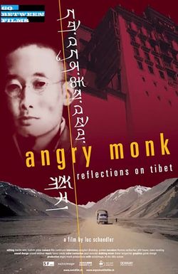 Angry Monk: Reflections on Tibet