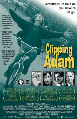 Clipping Adam