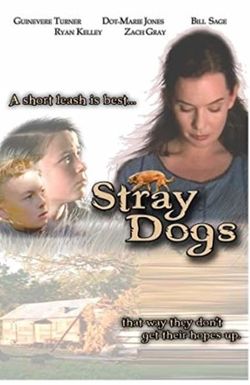 Stray Dogs