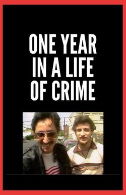 One Year in a Life of Crime