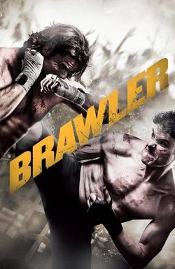 Brawler