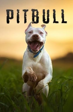 Pitbull