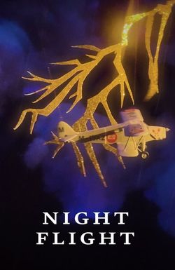 Night Flight