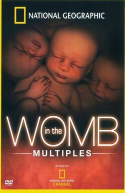 In the Womb: Multiples