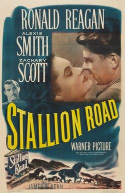 Stallion Road