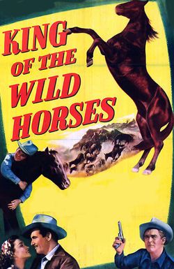 King of the Wild Horses