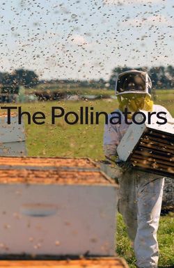 The Pollinators