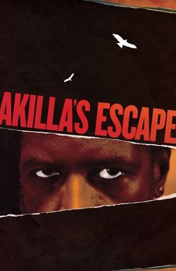 Akilla's Escape